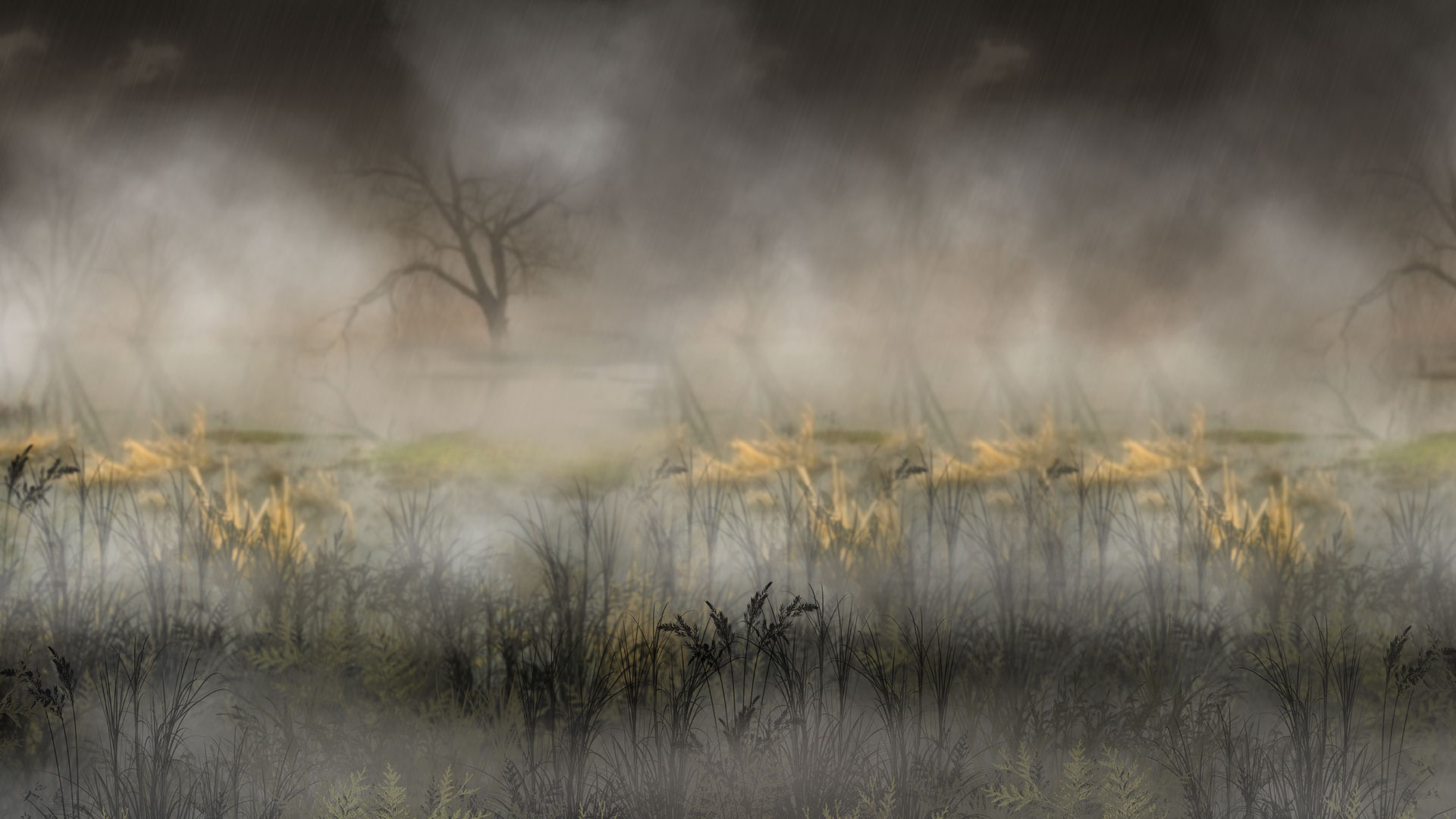 Jase34 Works - Sumpfblüte Background